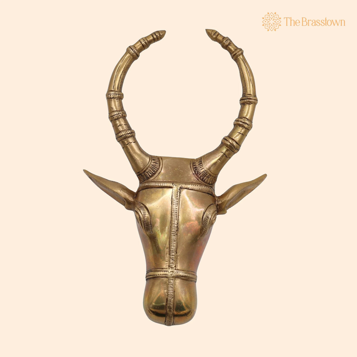 Brass Bull Head Wall Hanging – Handcrafted Nandi Ox Face Sculpture Décor 10 Inch 1