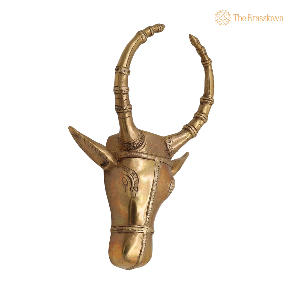 Brass Bull Head Wall Hanging – Handcrafted Nandi Ox Face Sculpture Décor 10 Inch 2