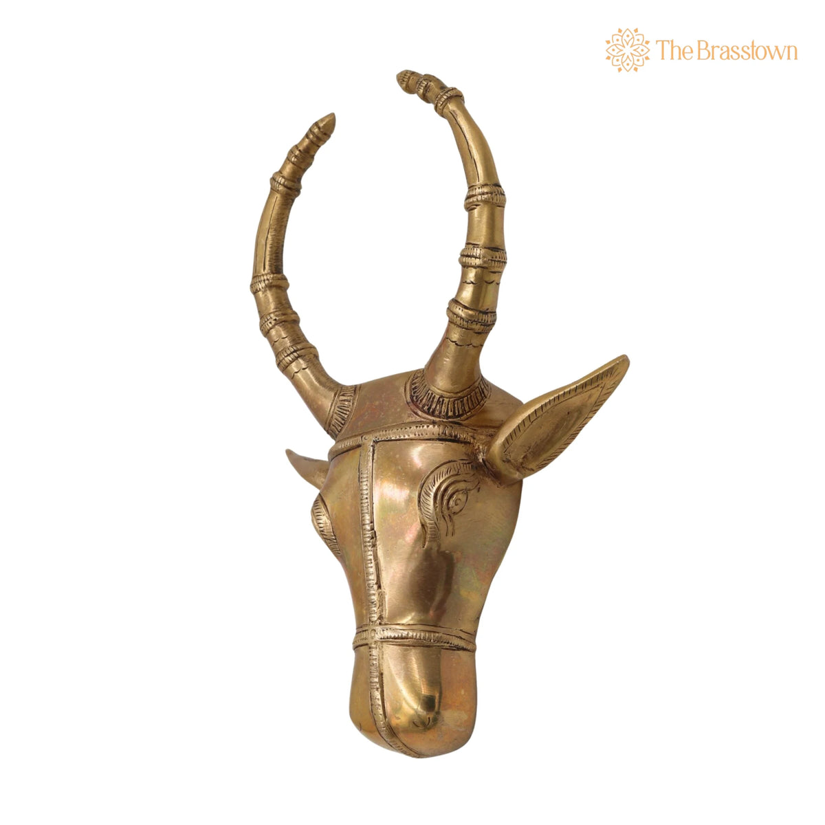 Brass Bull Head Wall Hanging – Handcrafted Nandi Ox Face Sculpture Décor 10 Inch 3