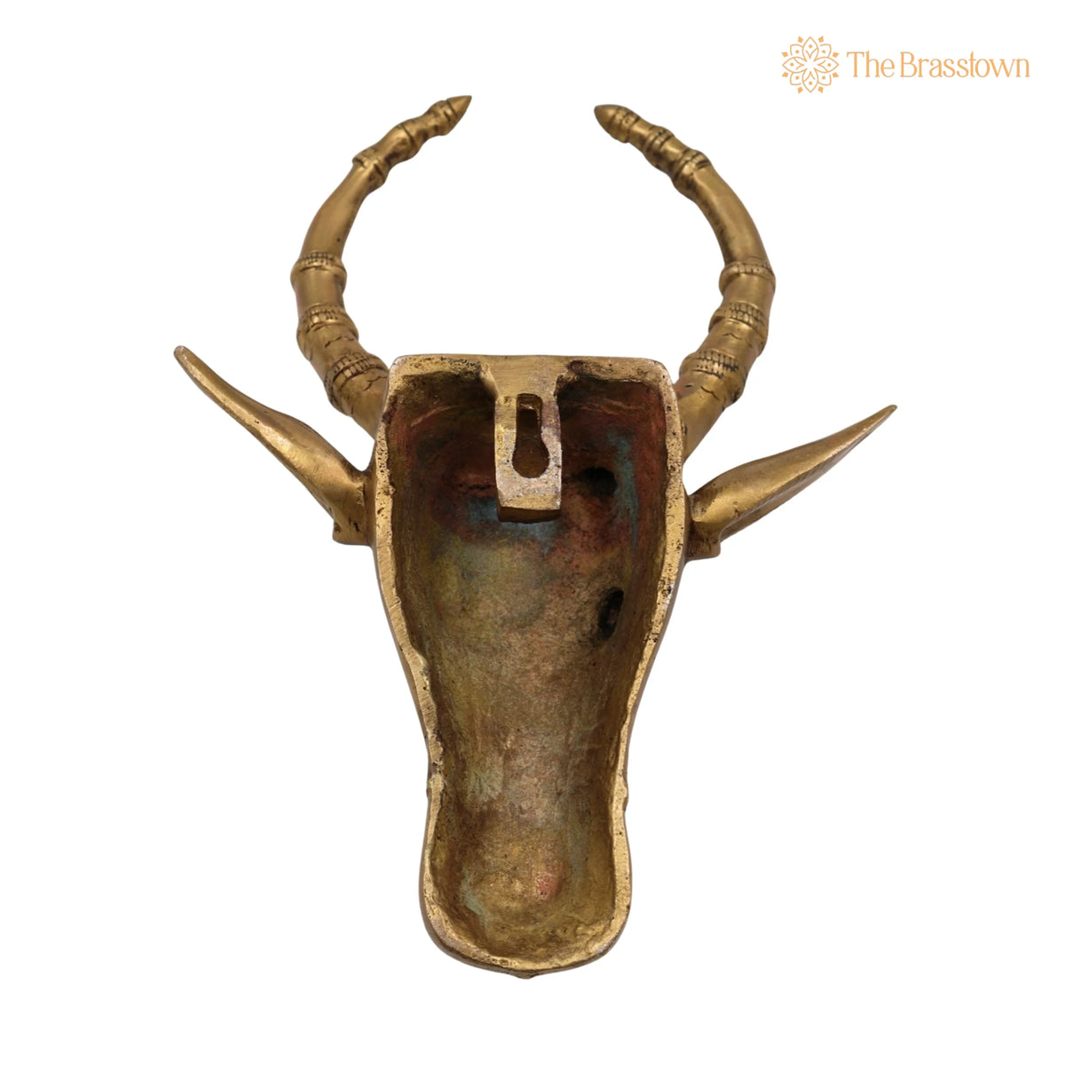 Brass Bull Head Wall Hanging – Handcrafted Nandi Ox Face Sculpture Décor 10 Inch 4