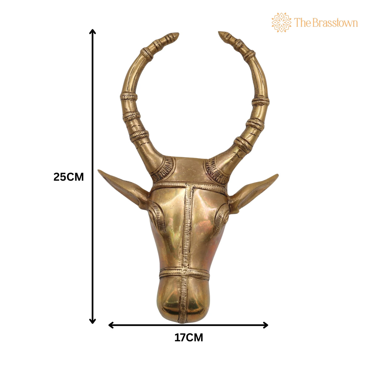 Brass Bull Head Wall Hanging – Handcrafted Nandi Ox Face Sculpture Décor 10 Inch 5