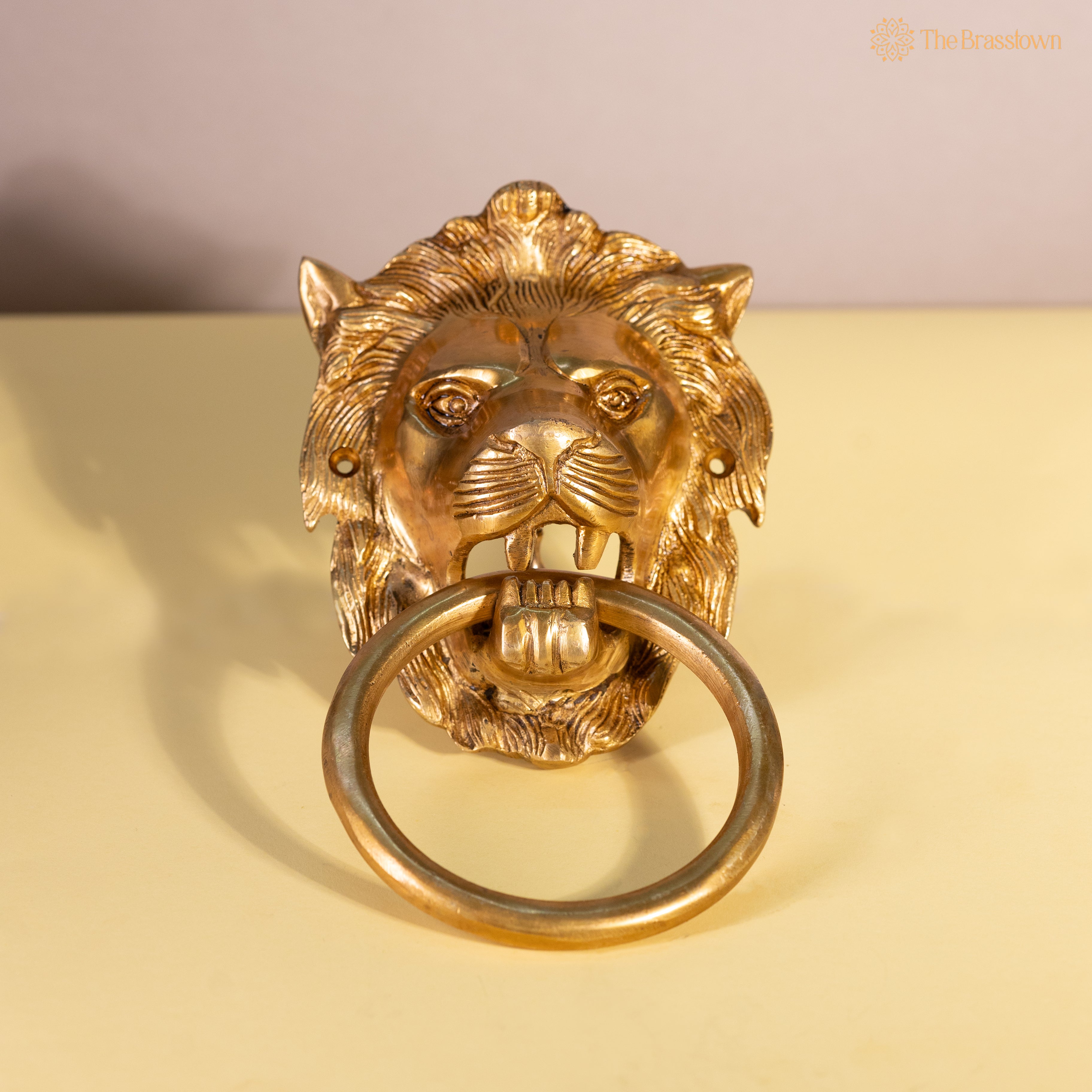 Brass Lion Door Knocker