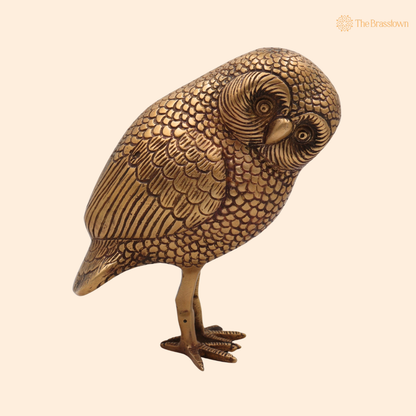 Brass Owl Idol 10 Inch front view – pure brass handcrafted India