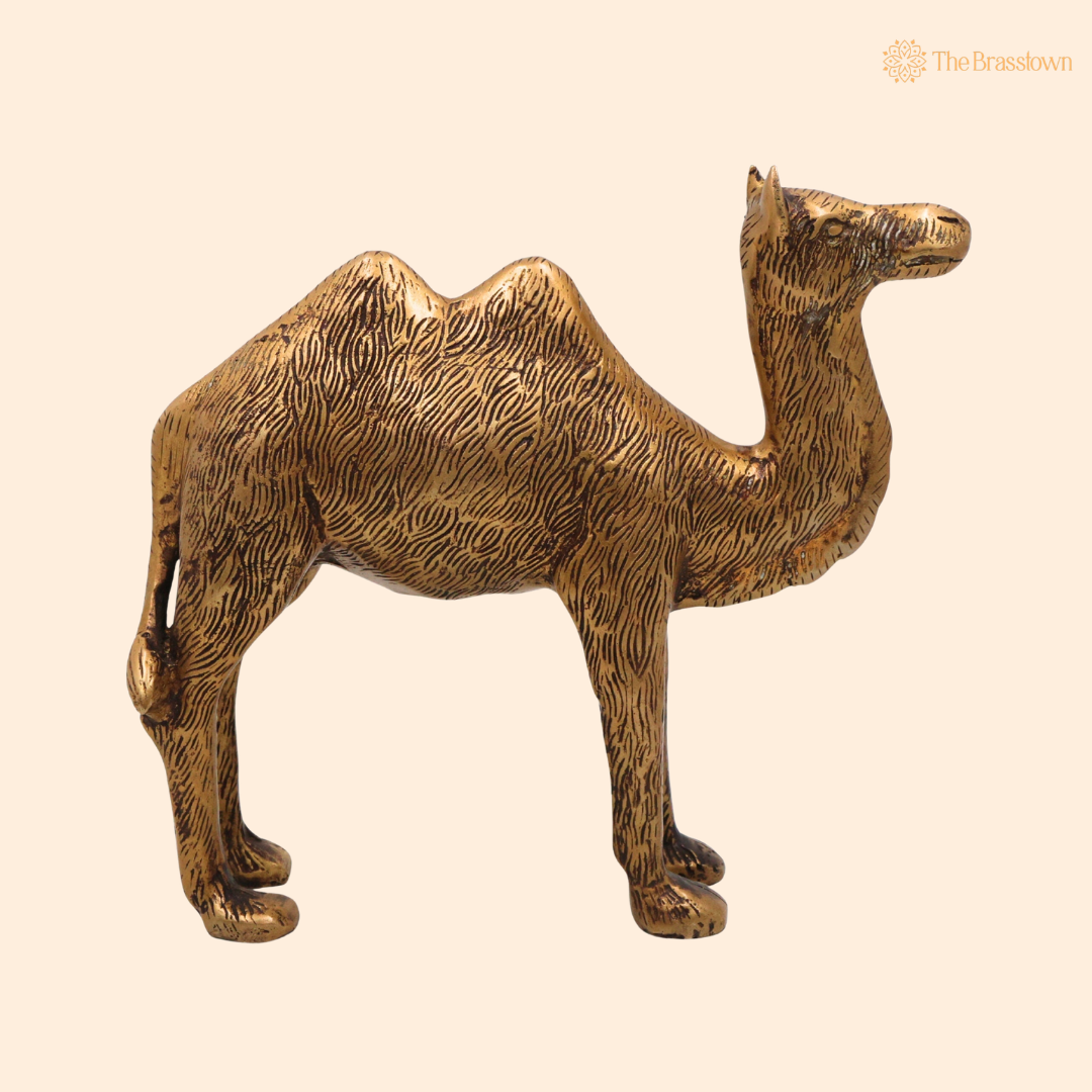 Brass Camel Idol 7 Inch front view – pure brass handcrafted India