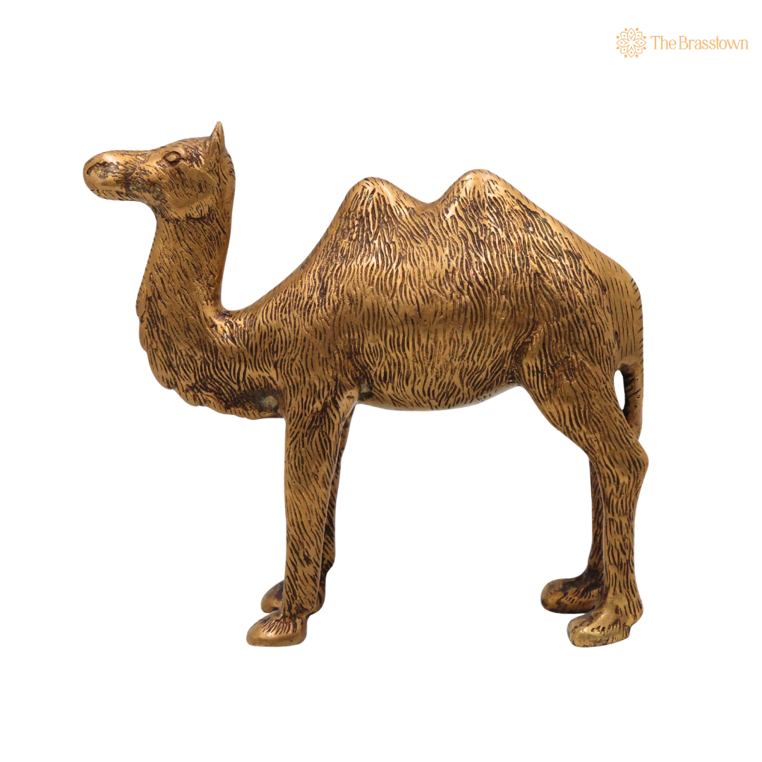 Brass Camel Idol 7 Inch side view – antique finish detail