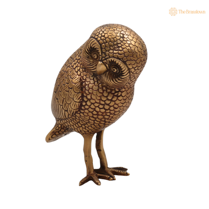 Brass Owl Idol 10 Inch side view – antique finish detail