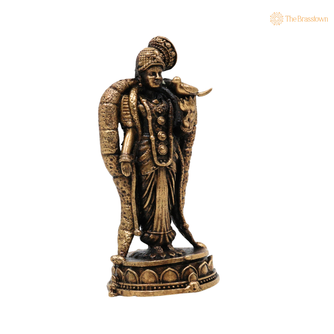 Brass Madurai Meenakshi Idol 3.5 Inch side view – antique finish detail