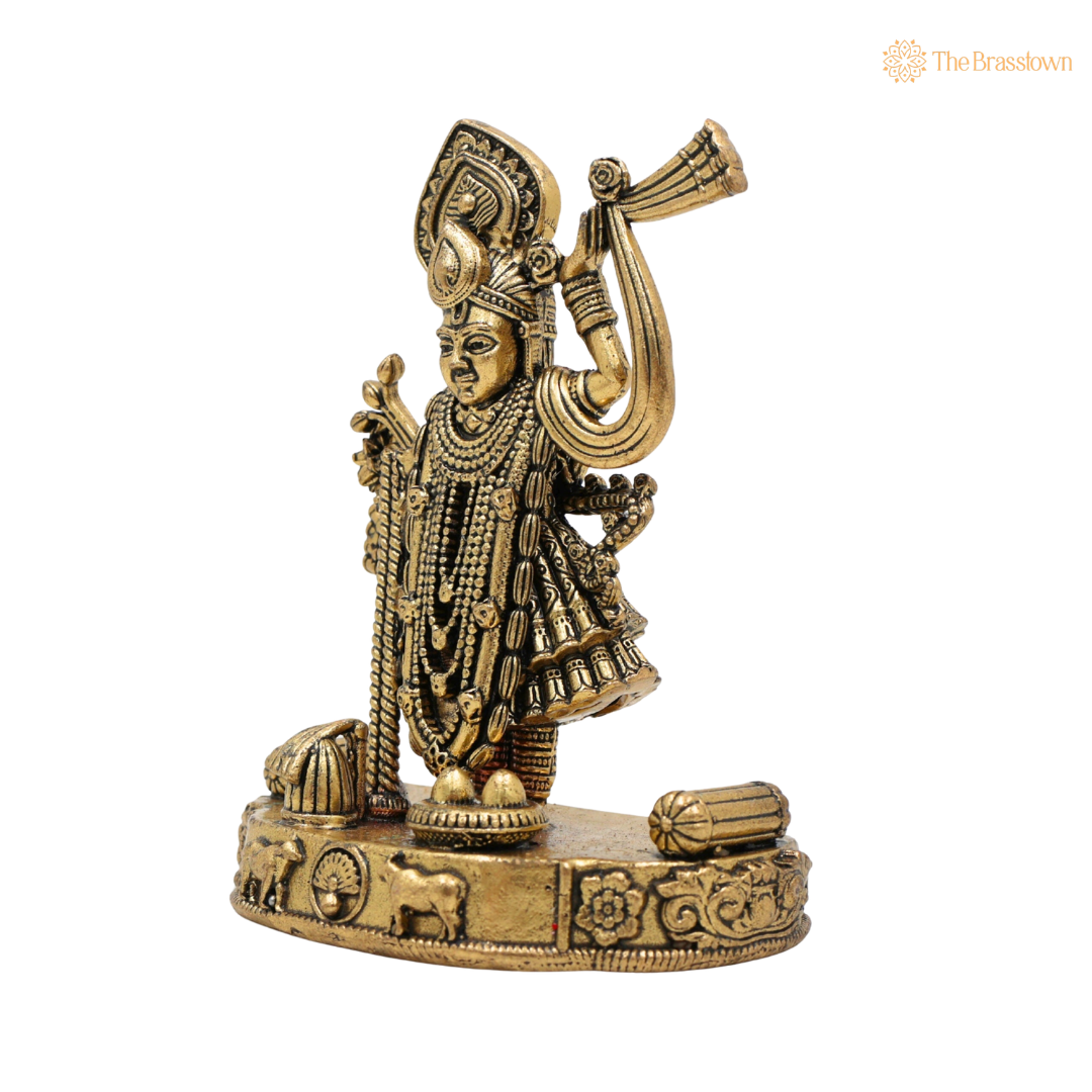 Brass Shrinath Ji Idol 4 Inch side view – antique finish detail