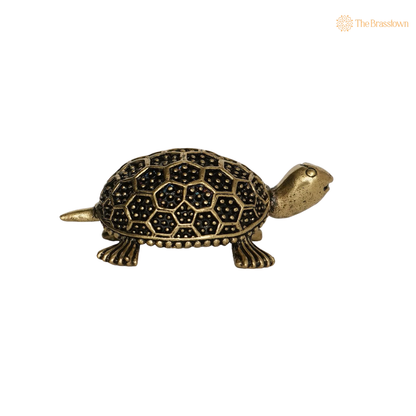 Brass Tortoise Idol 1 Inch side view – antique finish detail