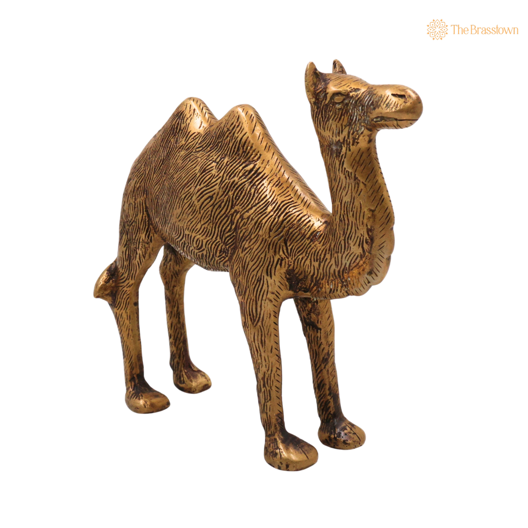 Brass Camel Idol 7 Inch closeup – intricate craftsmanship