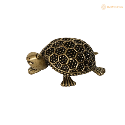 Brass Tortoise Idol 1 Inch closeup – intricate craftsmanship