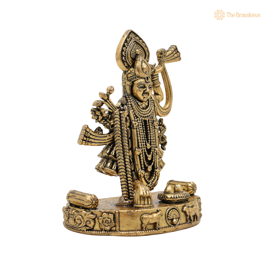 Brass Shrinath Ji Idol 4 Inch closeup – intricate craftsmanship
