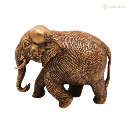 Brass Elephant Idol 5 Inch side view – antique finish detail
