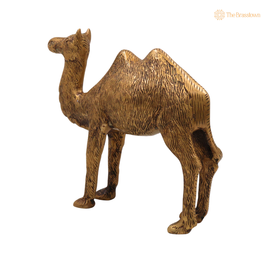 Brass Camel Idol 7 Inch – home mandir puja decor India