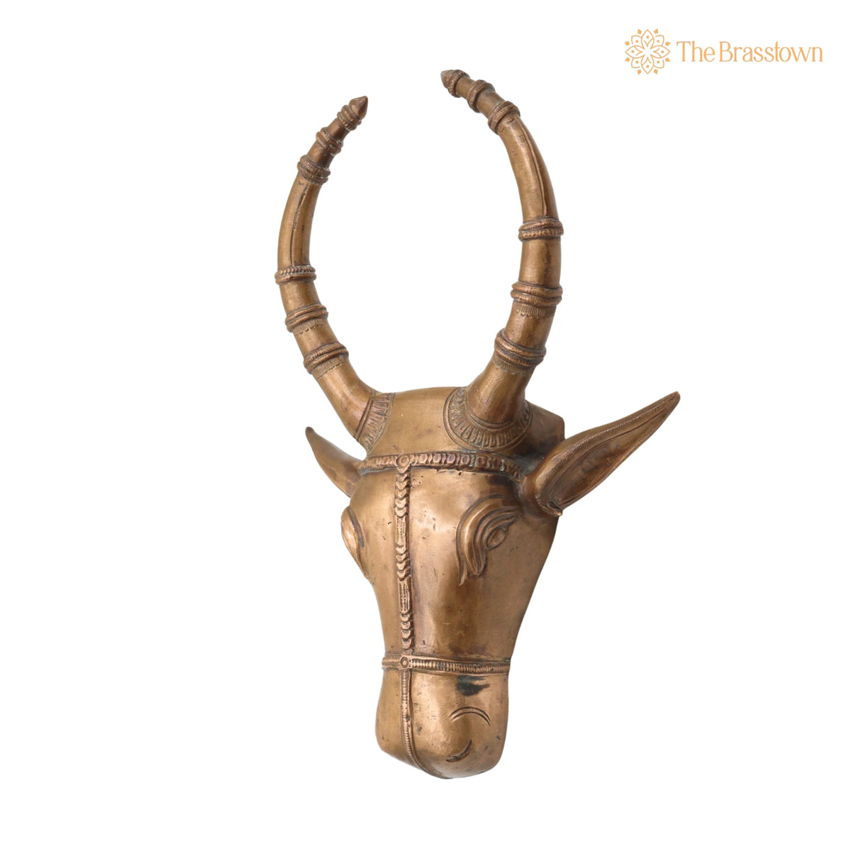 Handcrafted Bronze Nandi Idol – Panchaloha Nandhi Murti, Devotional Bull Head Sculpture for Pooja &amp; Temple Décor 10 Inch 3