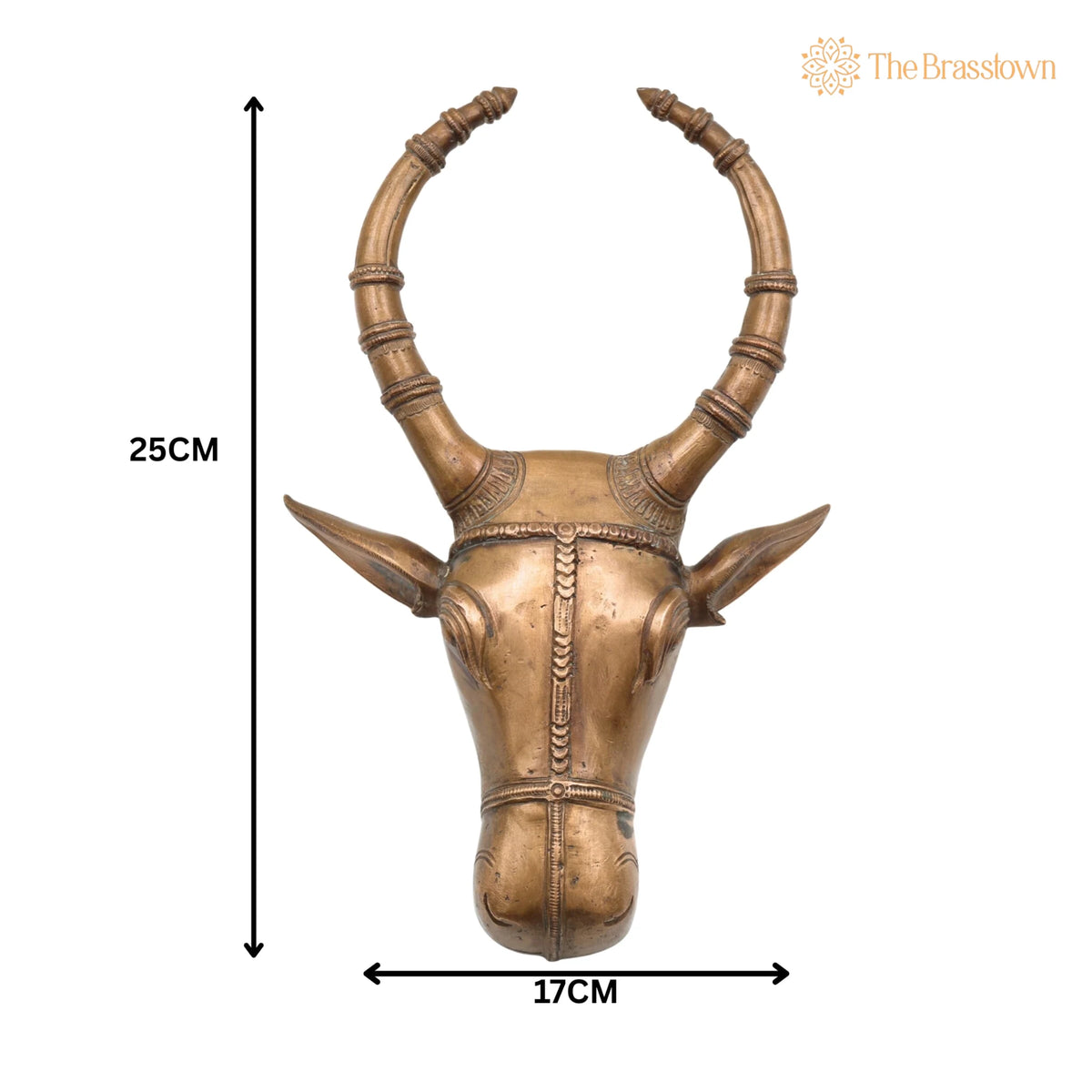 Handcrafted Bronze Nandi Idol – Panchaloha Nandhi Murti, Devotional Bull Head Sculpture for Pooja &amp; Temple Décor 10 Inch 5