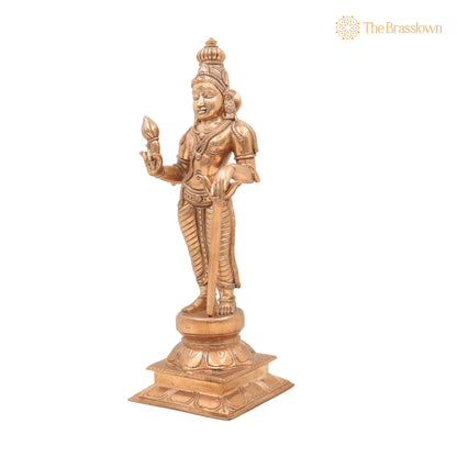 Bronze Sundarar Idol – Handcrafted Sundareswarar Sundaresha Murti, Chola Style Shaivite Panchaloha Vigraha for Temple &amp; Home Pooja 11 Inch 3