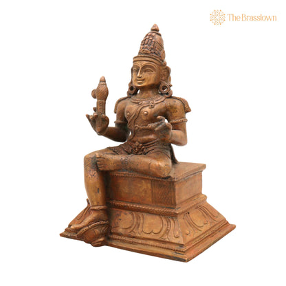 Handcrafted Bronze Aiyanar Idol – Panchaloha Village Guardian Deity Sastha Ayyanar Chola Art Sculpture for Temple Pooja Décor 7 Inch 3
