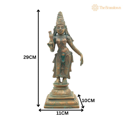 Handcrafted Bronze Bhudevi Idol – Panchaloha Vasundhara, Prithvi Devi, Bhoomata, Earth Goddess Sculpture for Pooja &amp; Vastu 11.5 Inch 5