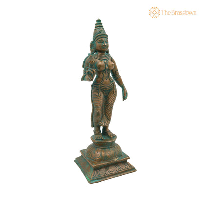 Handmade Bronze Shridevi Idol for Puja, Home Mandir &amp; Décor 10.5 Inch 3