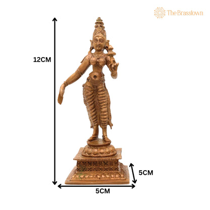 Bronze Sri Devi &amp; Bhu Devi Idol – Handcrafted Lakshmi and Bhudevi Goddess Murti, Lakshmi &amp; Earth Goddess Statue for Pooja 4.5 Inch 5