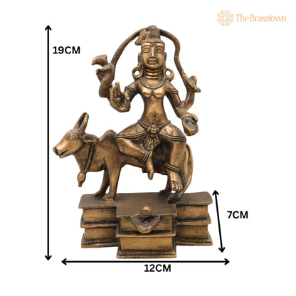 Brass Shiva Idol – Handcrafted Mahadev Murti, Bholenath Shankara Statue, Peetal Pital Rudra Murti for Home Temple Décor 7.5 Inch 5