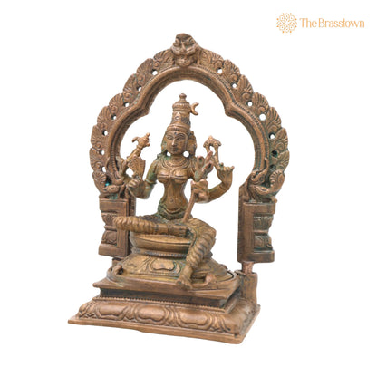 Bronze Raja Rajeshwari Amman Idol – Handcrafted Traditional Murti for Puja, Home Mandir &amp; Décor 5 Inch 3