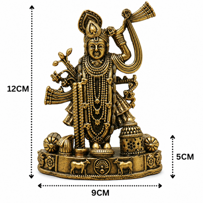 Brass Shrinath Ji Idol – Divine Brass - Handcrafted Pooja Decor by The Brasstown - Lifestyle Setup
