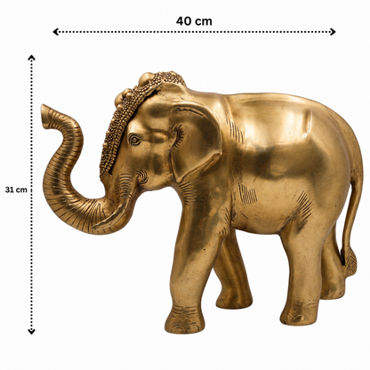 Brass Elephant Idol (Gajraj) – Decorative Elephant Statue for Home, Office &amp; Spiritual Décor 12 Inch
