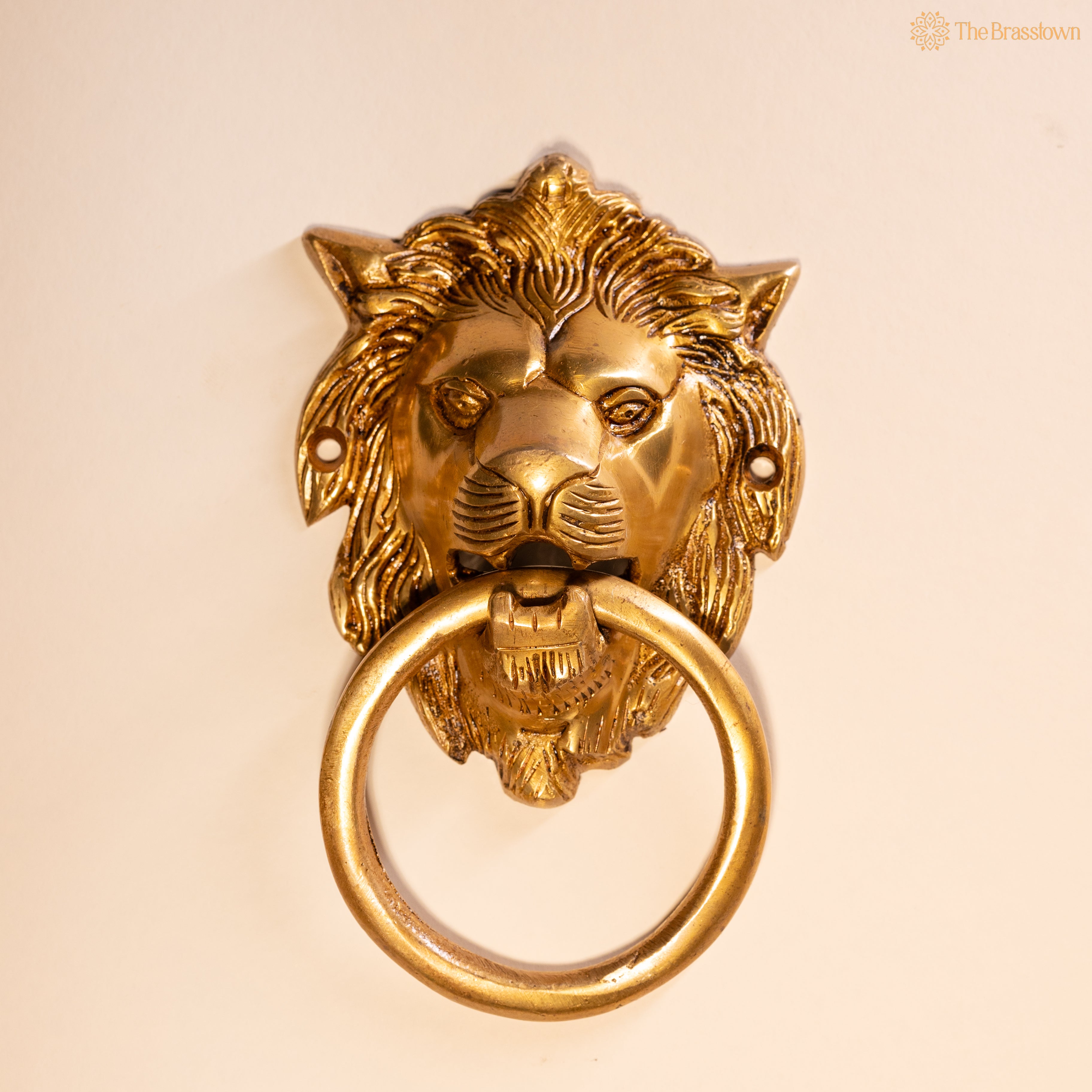 Brass Small Lion Door Knocker