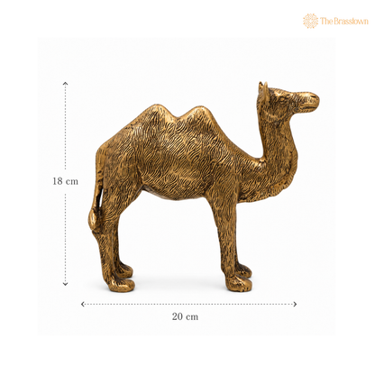 Brass Camel Idol – Indian Desert Camel Sculpture for Home, Office &amp; Table Décor 7 Inch